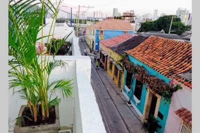 a view of a city with buildings and a palm tree at Apto en Getsemani el barrio mas cool de Cartagena in Cartagena de Indias