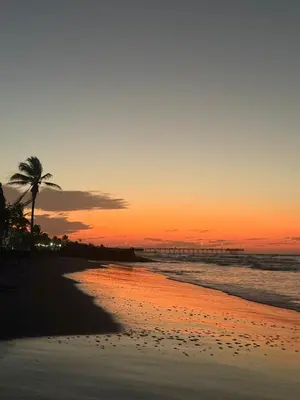 a sunset on the beach with a palm tree at AGUAMARINA House in San Bernardo del Viento