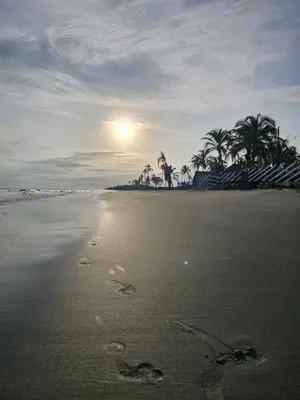 a beach with footprints in the sand and palm trees at AGUAMARINA House in San Bernardo del Viento