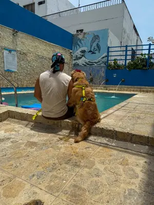 a man sitting next to a dog next to a pool at Hotel Toledo FL in Cartagena de Indias