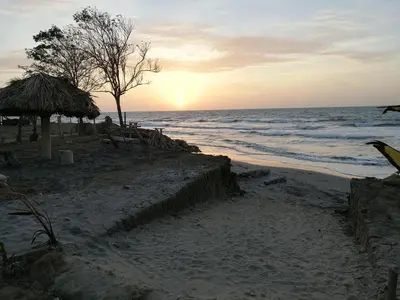a beach with a tree and the ocean at sunset at Palmar del viento cabaña frente al mar in Moñitos