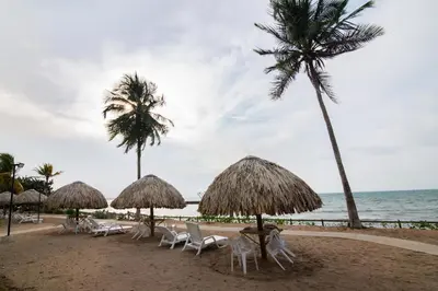 a beach with chairs and palm trees and the ocean at Hermoso Apartamento Frente al Mar 2 Habitaciones PAZ122 in Coveñitas