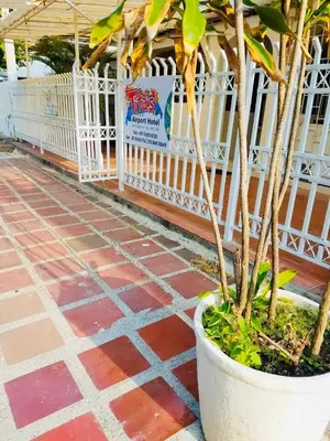 a plant in a pot sitting on a brick sidewalk at Tita’s Airport Hotel in Cartagena de Indias