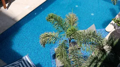 an overhead view of a palm tree in a swimming pool at The Blue Hotel in Cartagena de Indias