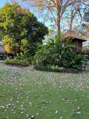 a field of flowers on the grass in front of a house at La Bonita Luxury Ecohotel in Sahagún