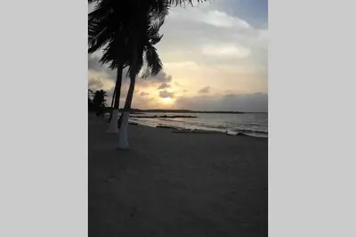 a group of palm trees on a sandy beach at PLAYA BLANCA SANANTERO CORDOBA las palmeras D’JC in San Antero