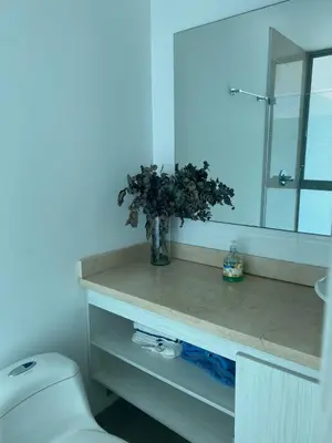 a bathroom with a toilet and a vase with a plant at Apartamento dentro del Hotel Sonesta Cartagena, aprovecha estar en lo mejor de MORROS in Cartagena de Indias