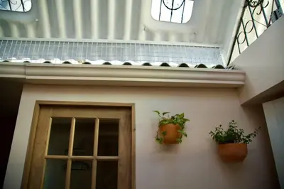 two plants on the side of a building with a door at GREAT LOCATION ! 4 Bedroom Home in the Heart of Cartagena in Cartagena de Indias