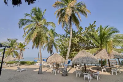 a beach with tables and chairs and palm trees at Hermoso Apartamento Frente al Mar 2 Habitaciones PAZ148 in Coveñitas