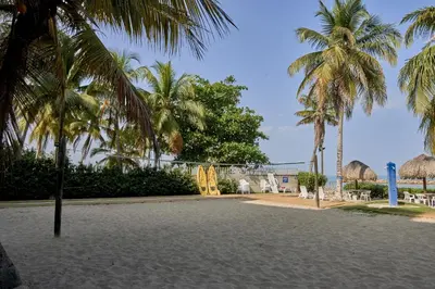 a park with palm trees and a building and a road at Hermoso Apartamento Frente al Mar 2 Habitaciones PAZ148 in Coveñitas