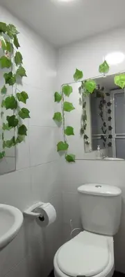 a bathroom with a toilet and plants on the wall at apartaestudio al lado del mar in Cartagena de Indias