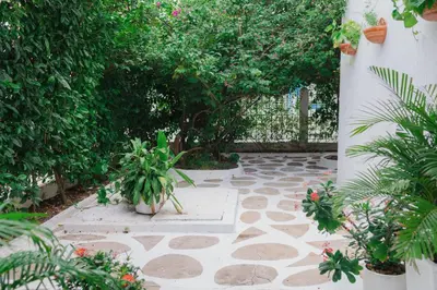 a garden with potted plants on a stone walkway at Casa MIKONOS in Cartagena de Indias