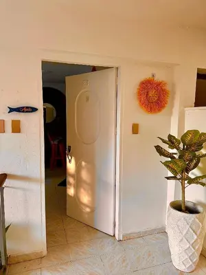 a white door in a room with a potted plant at Casa MIKONOS in Cartagena de Indias