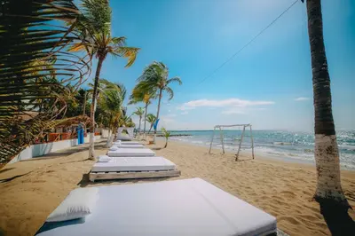 a row of white mattresses on a beach with palm trees at Kpré Coveñas by Bernalo Hotels in Coveñas