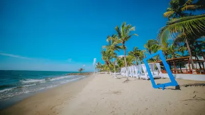 a beach with chairs and palm trees and the ocean at Kpré Coveñas by Bernalo Hotels in Coveñas