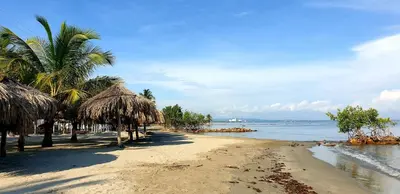 a sandy beach with palm trees and the ocean at Cabañas La Cuchita RNT 61621 in Coveñas