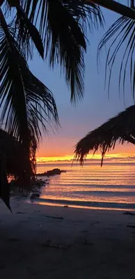 a sunset on a beach with a palm tree at Cabañas La Cuchita RNT 61621 in Coveñas