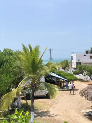 a palm tree in front of a bus on the beach at Manglearena in Tolú
