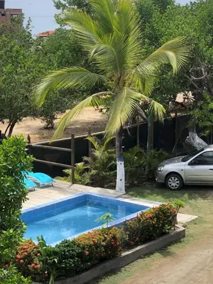 a palm tree and a swimming pool next to a car at Manglearena in Tolú