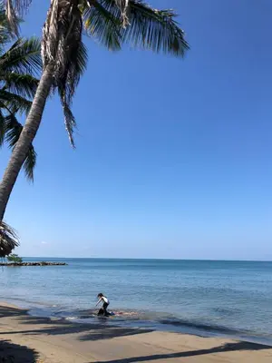 a man riding a surfboard on the beach with a palm tree at Manglearena in Tolú