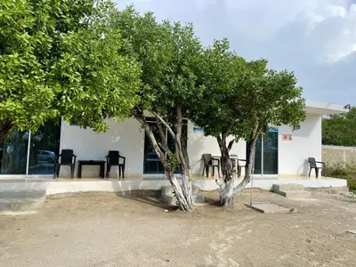 a group of chairs and a tree in front of a building at Manglearena in Tolú