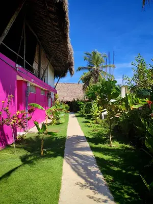 a path leading to a pink building with a grass yard at Tata Lolo in Coveñas