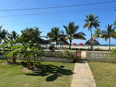 a garden with palm trees and the beach at Tata Lolo in Coveñas