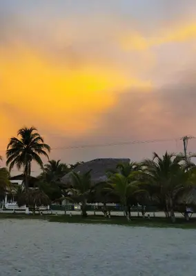 a group of palm trees on a beach at sunset at Tata Lolo in Coveñas