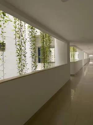 a hallway with plants on the wall of a building at Edificio Morros Epic Lujo con Panorama in Cartagena de Indias