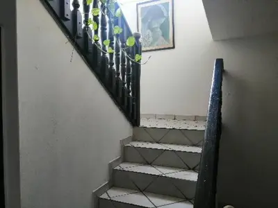 a stairway with a plant on the railing of a staircase at Hospedaje Altamira in Barranquilla