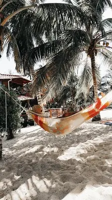 a hammock on a beach with two palm trees at Cabaña sostenible Isla Fuerte in Isla Fuerte