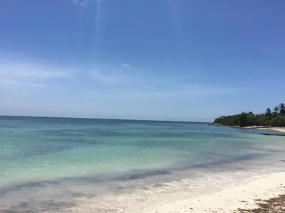 a beach with blue water and trees in the background at Cabaña sostenible Isla Fuerte in Isla Fuerte