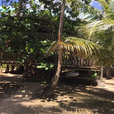a wooden bench sitting next to a palm tree at Cabaña sostenible Isla Fuerte in Isla Fuerte