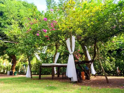 a couple of chairs sitting under trees with flowers at Cabañas Los Venaos in San Bernardo del Viento