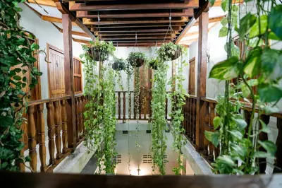a room filled with plants and a pool of water at Scalea Di Mare Hotel in Cartagena de Indias