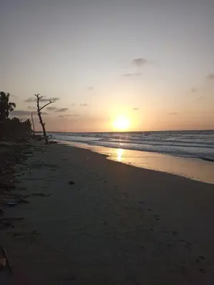 a sunset on the beach with a tree on the beach at Cabaña frente al mar Encanto del Viento in San Bernardo del Viento