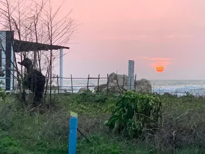 a dog standing next to a fence with the sunset at Cabaña frente al mar Encanto del Viento in San Bernardo del Viento
