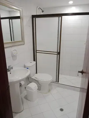 a bathroom with a shower and a toilet and a sink at Apartamento mar in Cartagena de Indias