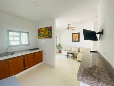 a kitchen and living room with a couch and a television at Mayo apartamentos in Santiago