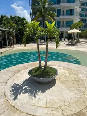a small palm tree in a bowl next to a pool at Playa -Boquilla -Apto en Condominio in Cartagena de Indias