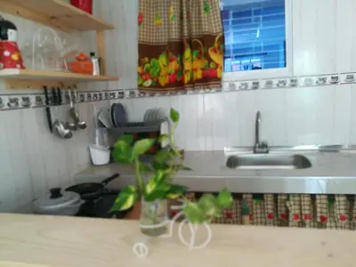 a kitchen with a sink and a potted plant on a counter at En mi casa cartagena in Cartagena de Indias