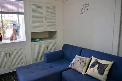 a blue couch in a living room with two cats pillows at Casa del Gato in Cartagena de Indias