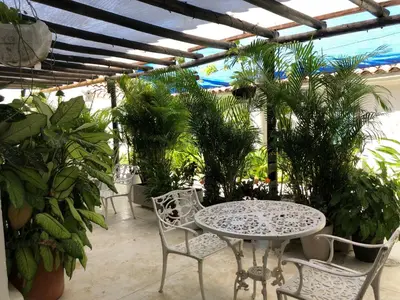 a patio with a table and chairs and plants at Casa Ines in Santa Marta