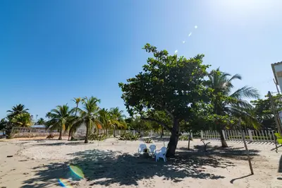 a beach with chairs and a tree and palm trees at Cabana Canaima in Coveñas