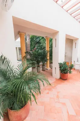 a courtyard with potted plants in a building at Casa Jaguar Hotel Boutique in Cartagena de Indias