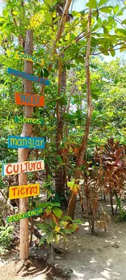 a bunch of signs on a tree with trees at El Viejo del Mar in San Bernardo del Viento