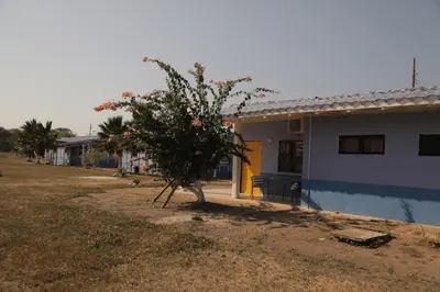 a small tree in front of a house at Club Camping Islamar in Baru