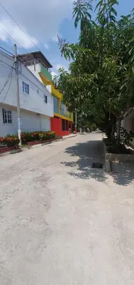 a tree in the middle of a street with a building at Casa de descanso Cartagena-Turbaco in Turbaco