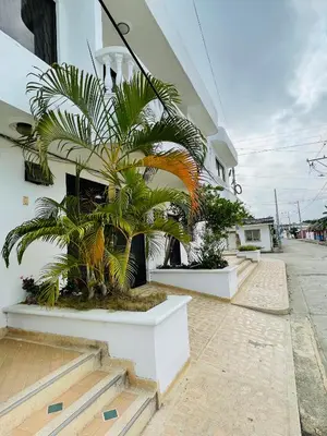 a palm tree in a planter in a building at MADILI DEL MAR in Santiago