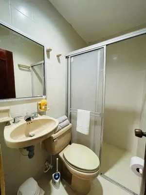 a bathroom with a toilet and a sink and a shower at MADILI DEL MAR in Santiago
